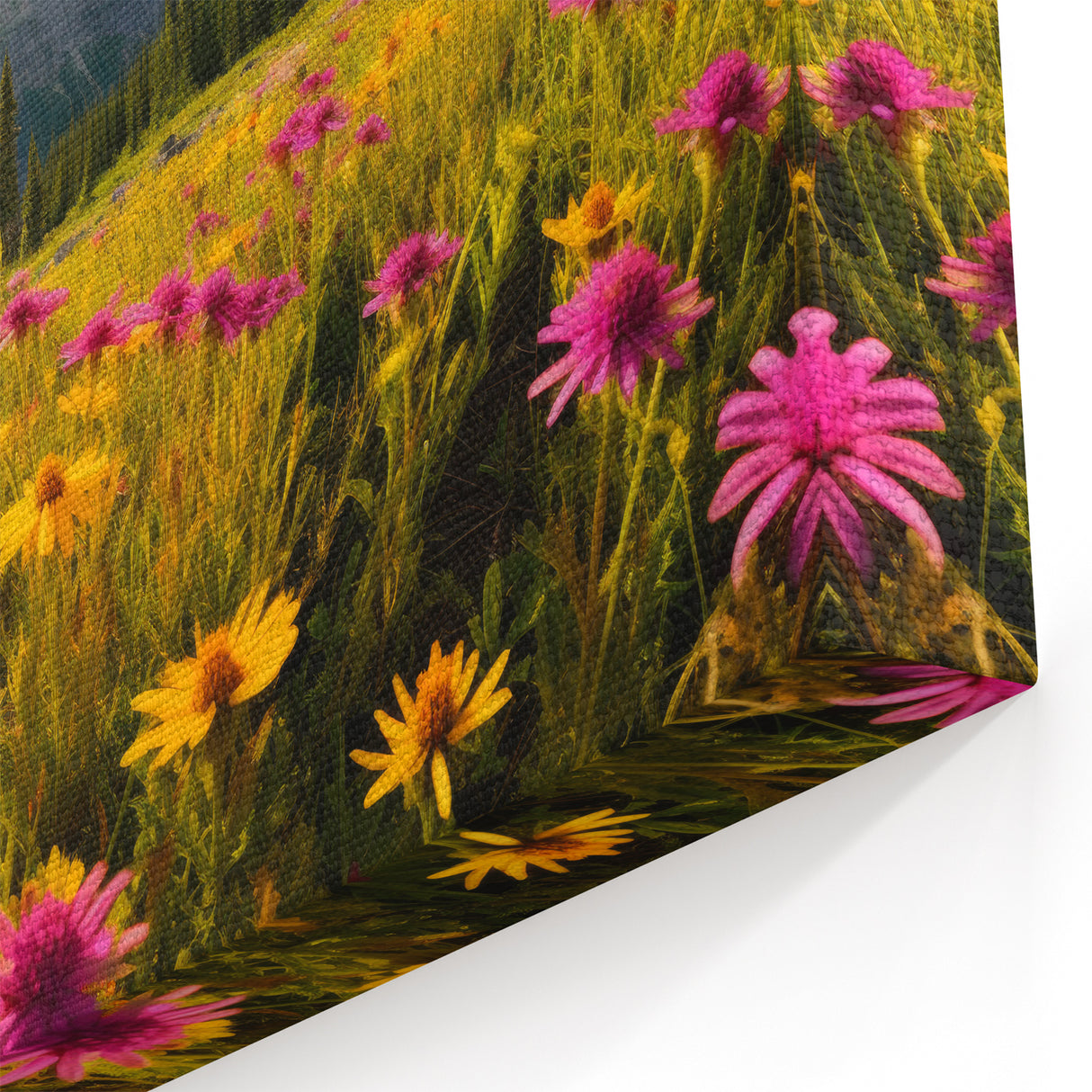 Alberta Wildflower Meadow Art - Sunlit Mountain Landscape Photography