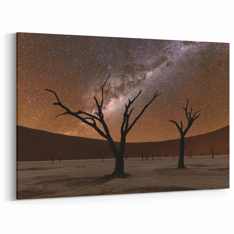 African Desert Night – Namibia’s Starry Sky and Silhouettes Wall Art