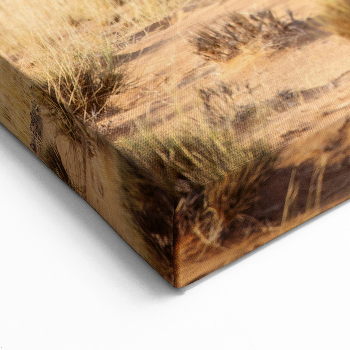 Namibian Heritage Art – Cultural Journey Across the Desert Canvas Print