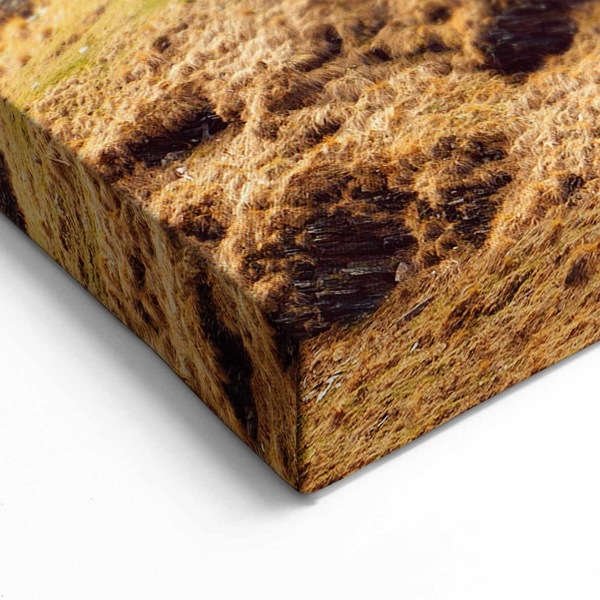 Georgia Canvas Art - Scenic Mountain Church Georgia Photography Art