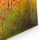 Georgia Landscapes - Vineyard in Bloom Georgia Scenery Canvas Art
