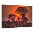 Quiver Trees at Sunset – Namibia’s Fiery Desert Landscape Art Print