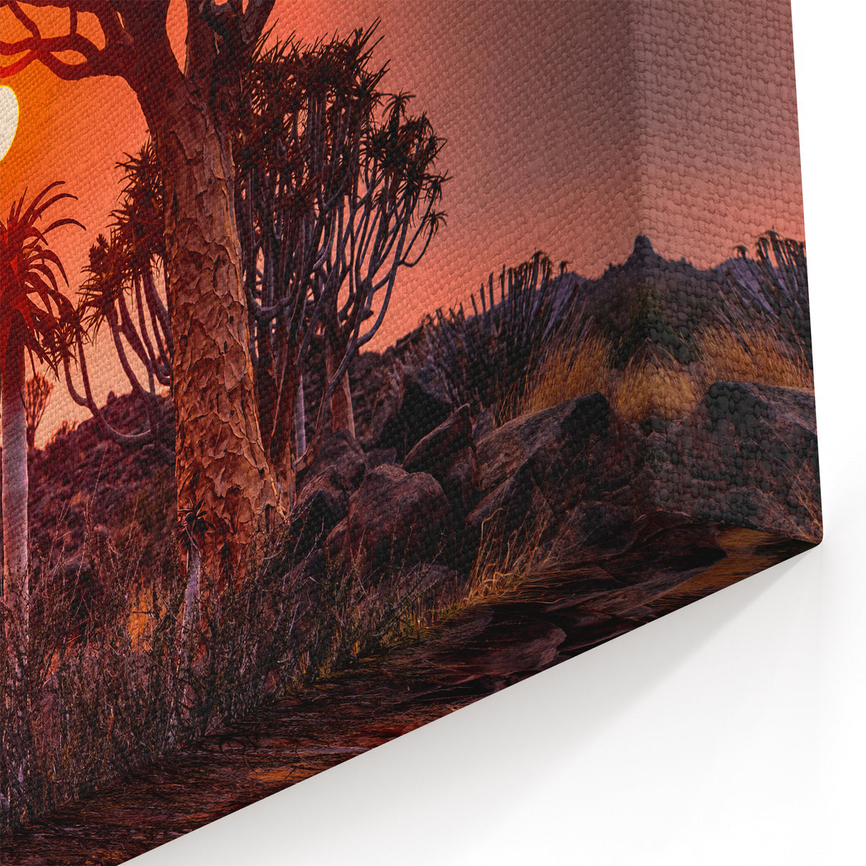 Quiver Trees at Sunset – Namibia’s Fiery Desert Landscape Art Print