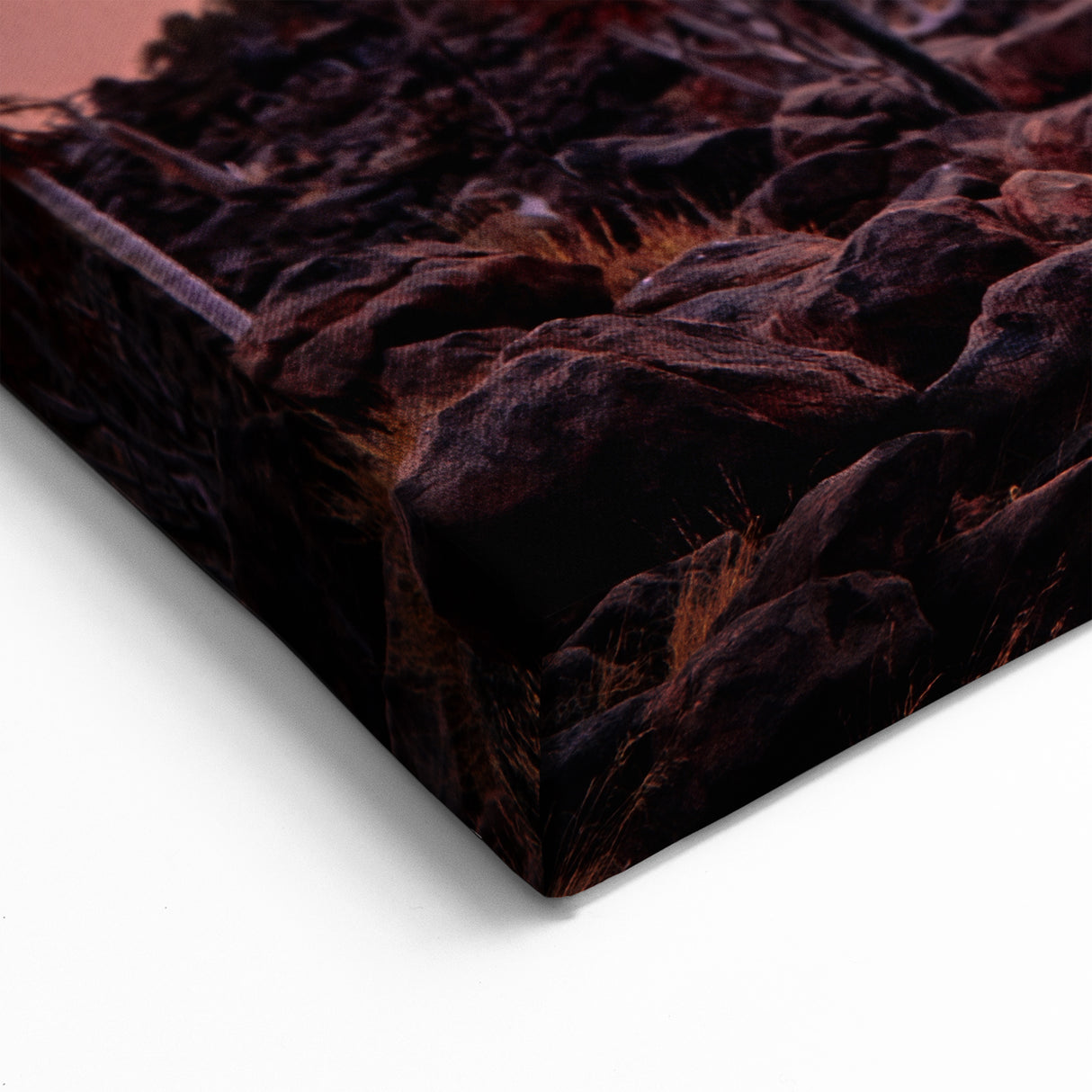 Quiver Trees at Sunset – Namibia’s Fiery Desert Landscape Art Print