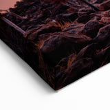 Quiver Trees at Sunset – Namibia’s Fiery Desert Landscape Art Print