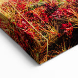 Georgia Landscapes - Mountain Lake Reflection Scenic Georgia Canvas Art