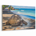 Seychelles Tortoise Wall Art – African Wildlife Beach Photography Print
