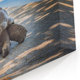 Seychelles Tortoise Wall Art – African Wildlife Beach Photography Print