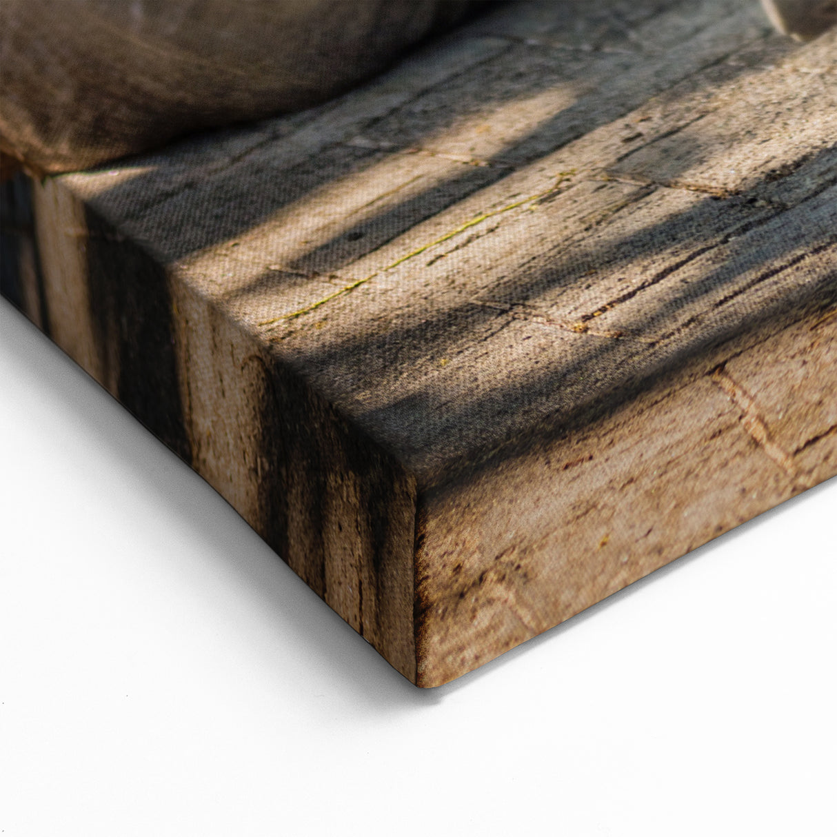 Seychelles Tortoise Wall Art – African Wildlife Beach Photography Print