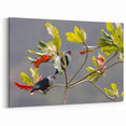 Seychelles Bird Wall Art – Exotic Wildlife Photography Canvas Print
