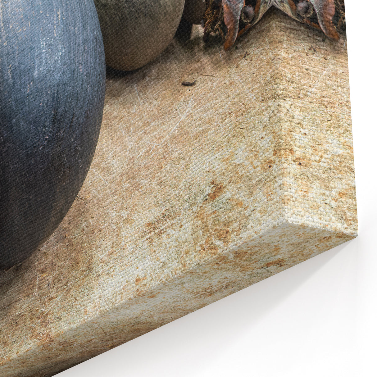 Seychelles Coco de Mer Art – Exotic Nature Photography Wall Print