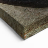 Seychelles Coco de Mer Art – Exotic Nature Photography Wall Print