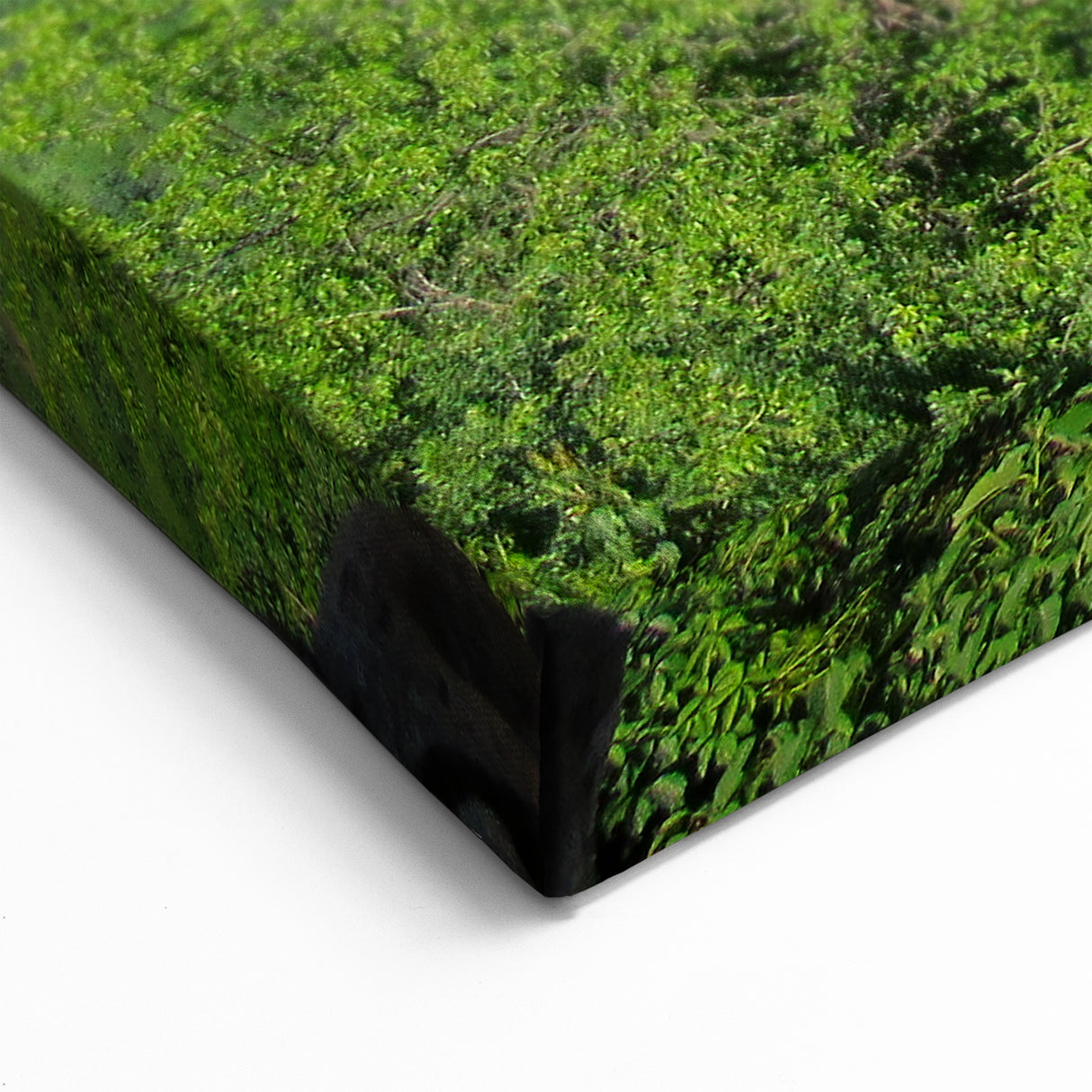 Scenic Georgia Landscapes Wall Art - Captivating Georgia Photography Print