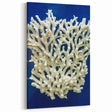 White Coral Reef on Deep Blue – Marine Plants Art for Coastal Decor