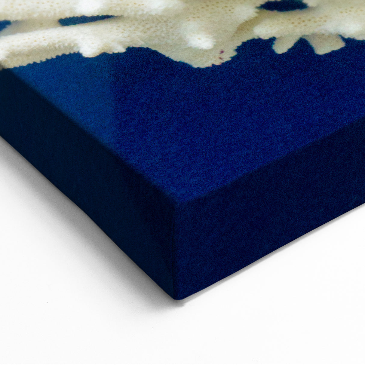 White Coral Reef on Deep Blue – Marine Plants Art for Coastal Decor