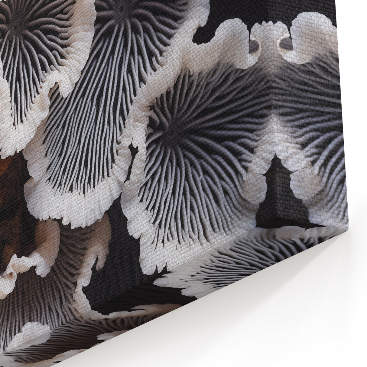 Elegant Marine Flora in Black and White – Coastal Botanical Wall Art