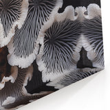 Elegant Marine Flora in Black and White – Coastal Botanical Wall Art