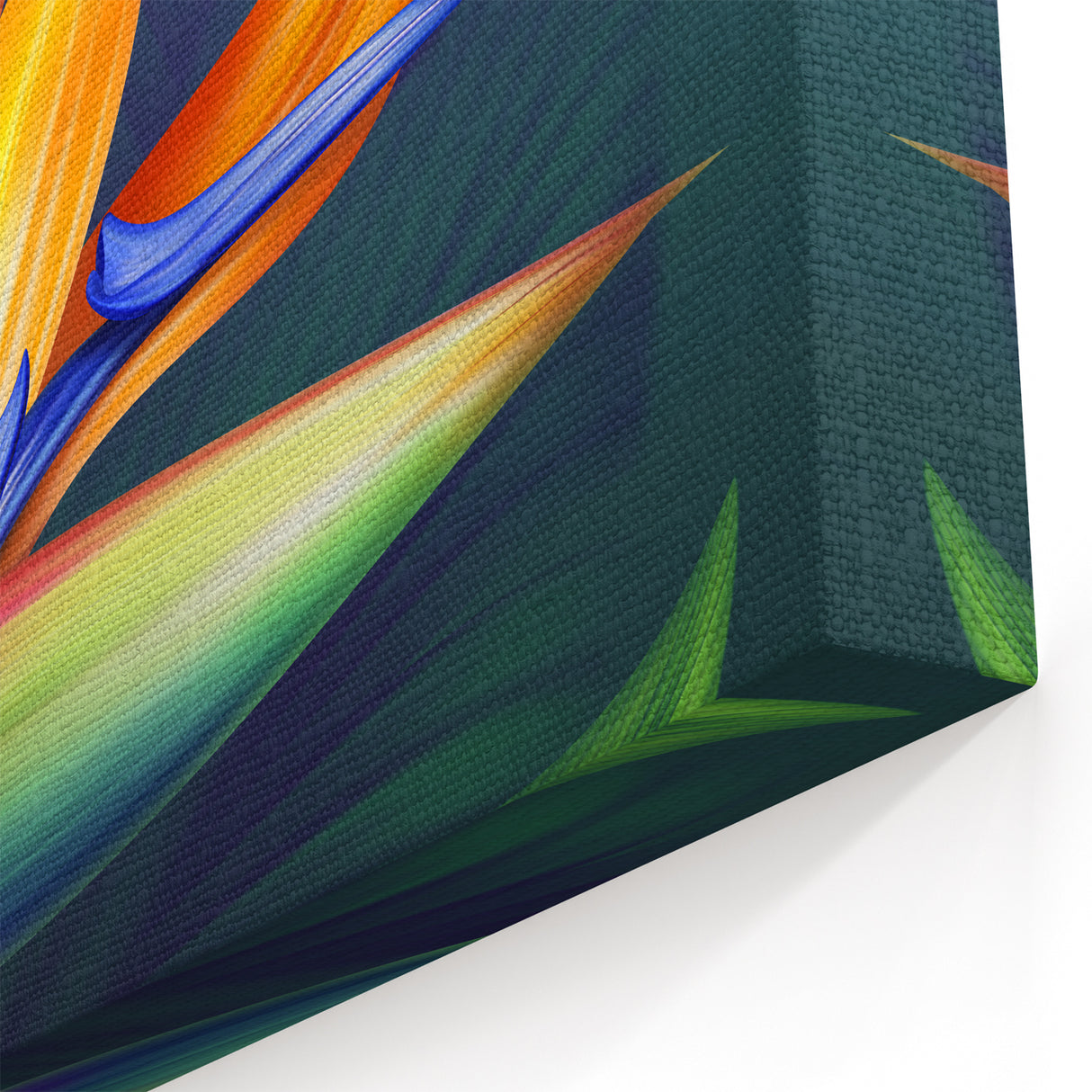 Exotic Bird of Paradise Wall Art | Colorful Tropical Flower Canvas Print