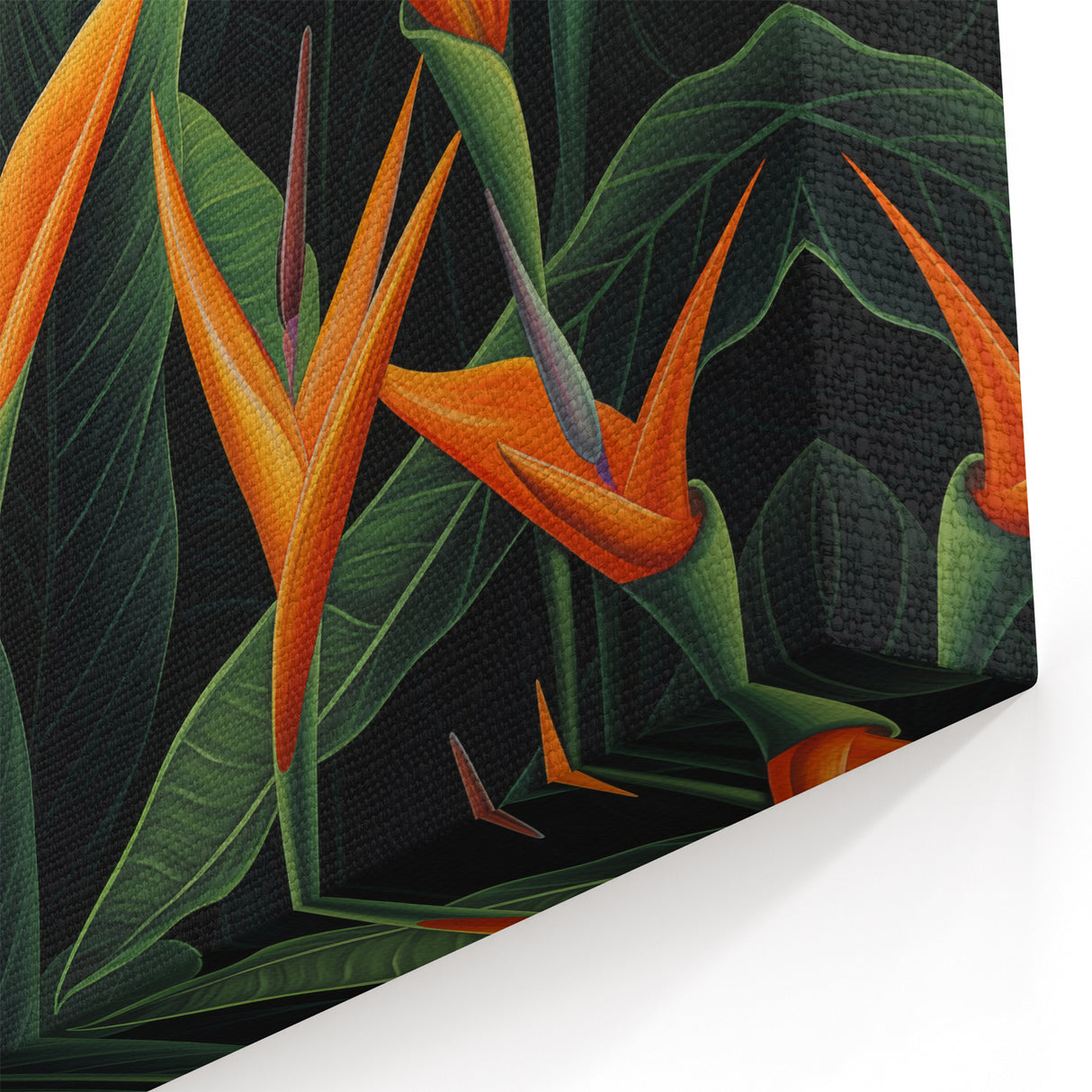 Vibrant Bird of Paradise Wall Art - Exotic Tropical Flower Canvas Prints