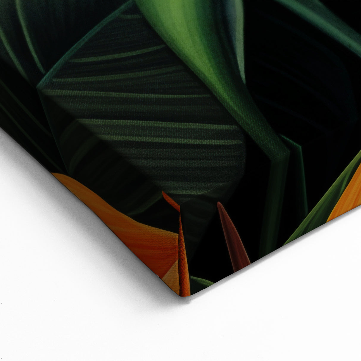 Vibrant Bird of Paradise Wall Art - Exotic Tropical Flower Canvas Prints