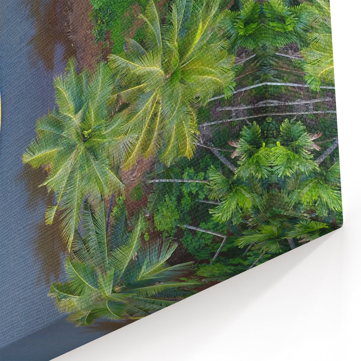 Serene Kerala Backwaters - Indian Tropical Scenery Wall Art