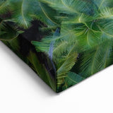 Serene Kerala Backwaters - Indian Tropical Scenery Wall Art