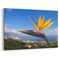 Stunning Bird of Paradise Art Print - Vibrant Tropical Flower Wall Decor