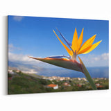 Stunning Bird of Paradise Art Print - Vibrant Tropical Flower Wall Decor