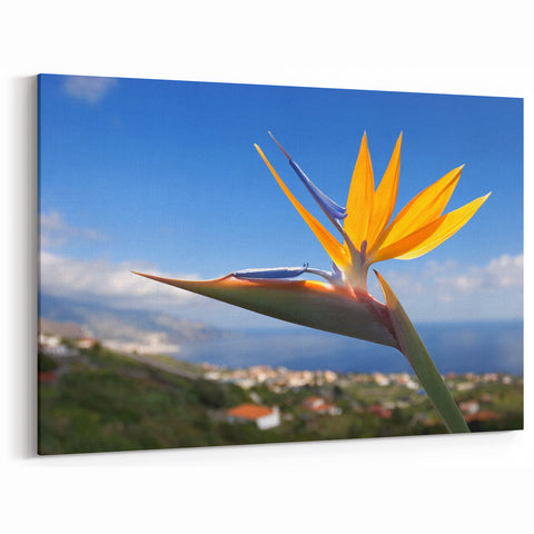 Stunning Bird of Paradise Art Print - Vibrant Tropical Flower Wall Decor