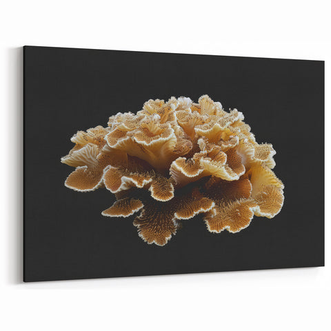 Marine Plants Art: Minimalist Brown & Cream Coral on Black Canvas Wall Decor