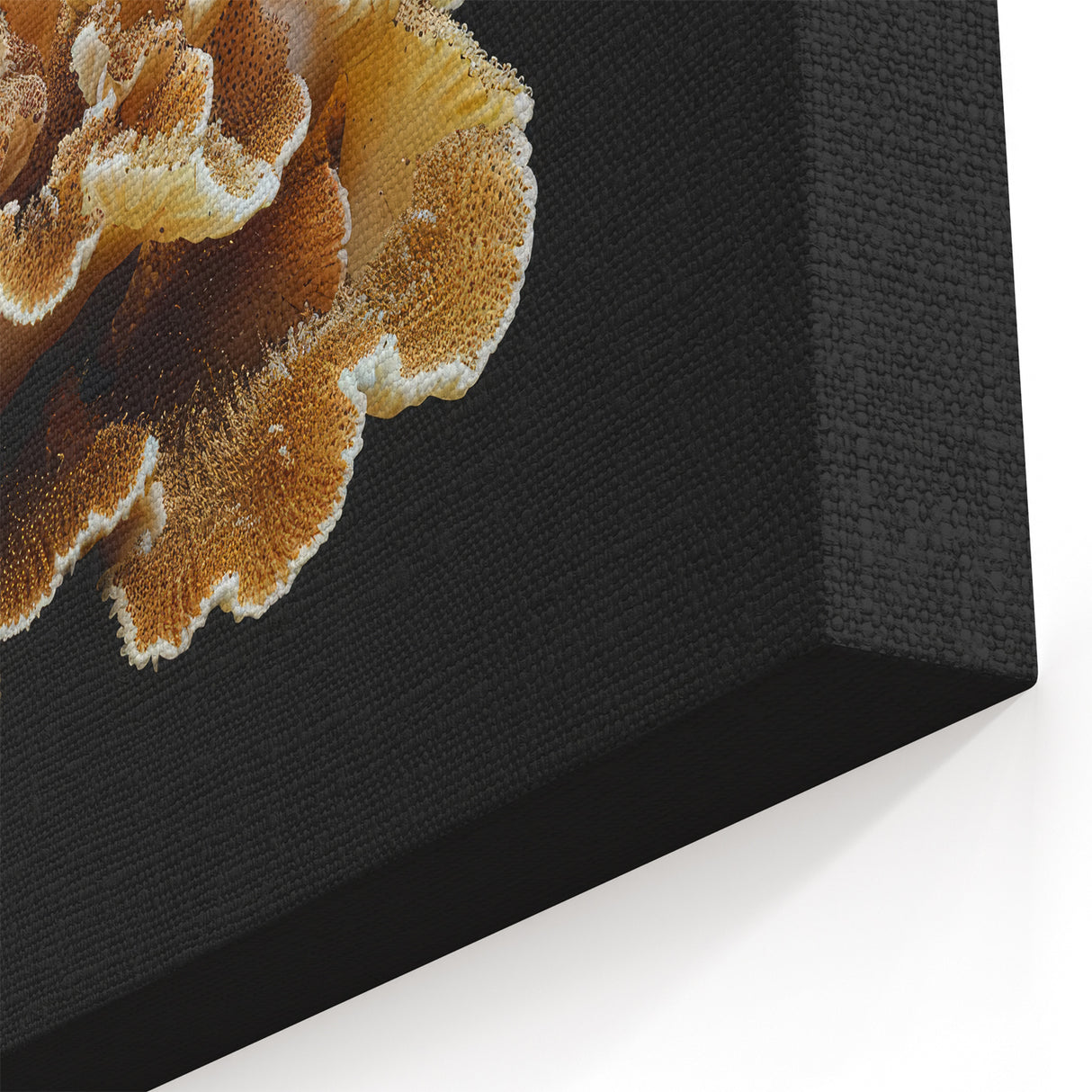 Marine Plants Art: Minimalist Brown & Cream Coral on Black Canvas Wall Decor