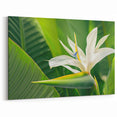 Elegant White Bird of Paradise Wall Art - Tropical Floral Canvas Print