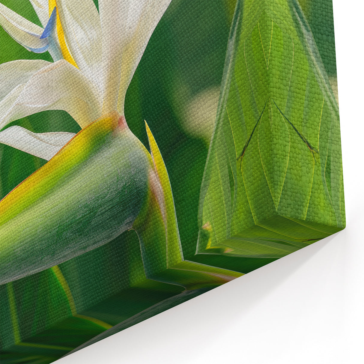 Elegant White Bird of Paradise Wall Art - Tropical Floral Canvas Print