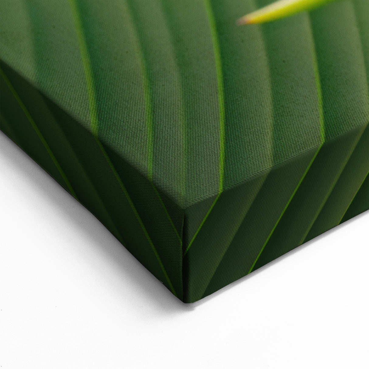 Elegant White Bird of Paradise Wall Art - Tropical Floral Canvas Print