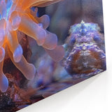 Marine Plants Art: Glowing Orange & Pink Coral Tentacle Wall Decor Canvas