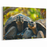 Giant Tortoise Duo in Seychelles - African Wildlife Canvas Print