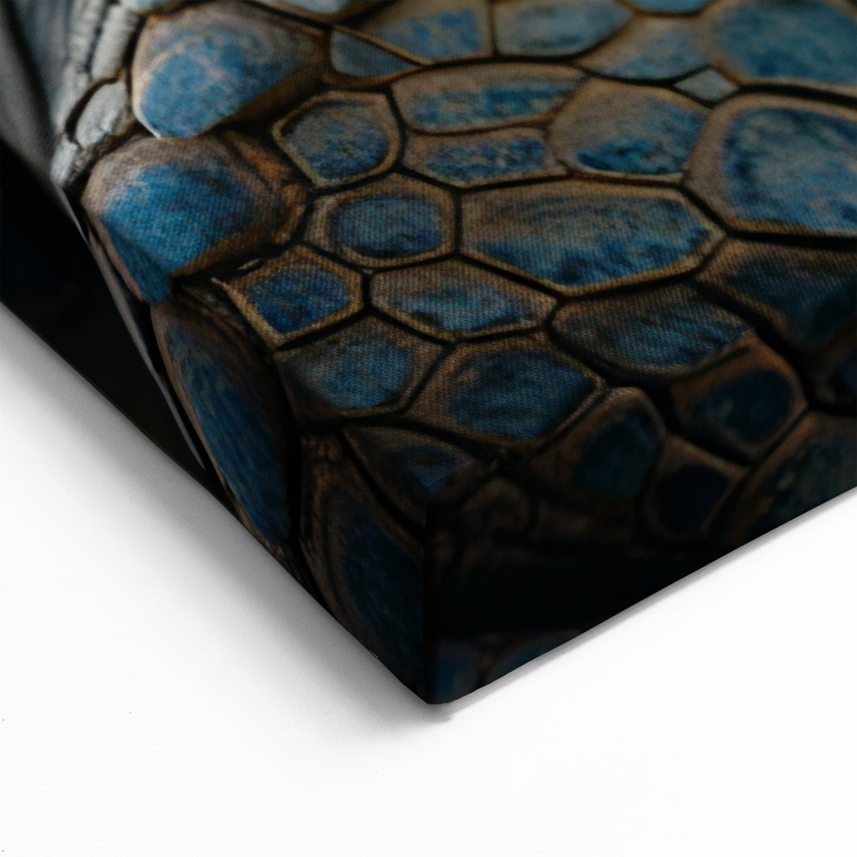 Giant Tortoise Duo in Seychelles - African Wildlife Canvas Print