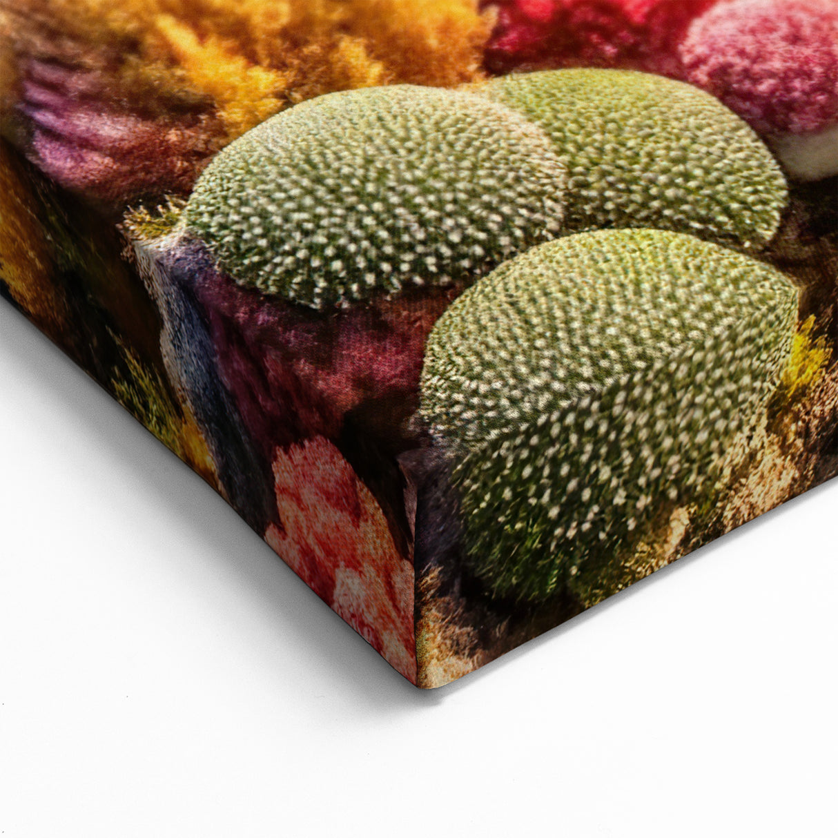 Luxury Yacht and Coral Reef in Seychelles - Ocean Paradise Art Print