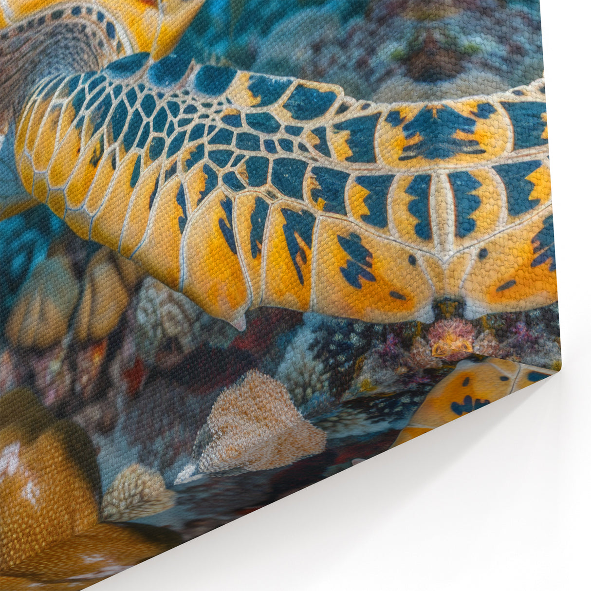 Seychelles Sea Turtle Underwater Art - Marine Wildlife Canvas Print