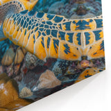 Seychelles Sea Turtle Underwater Art - Marine Wildlife Canvas Print