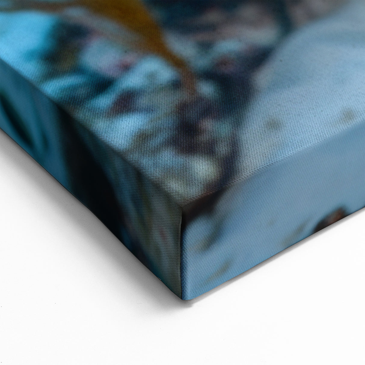 Seychelles Sea Turtle Underwater Art - Marine Wildlife Canvas Print