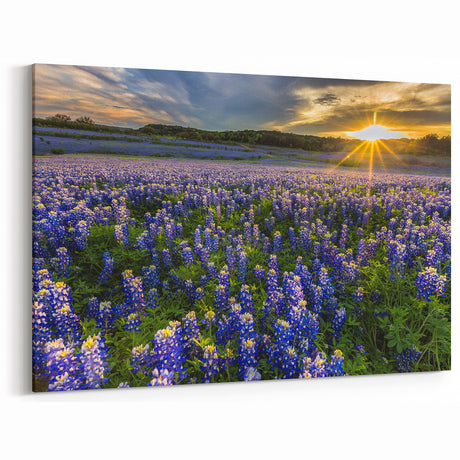 Vibrant Bluebonnet Field at Sunrise - Texas Wildflower Scenic Wall Art