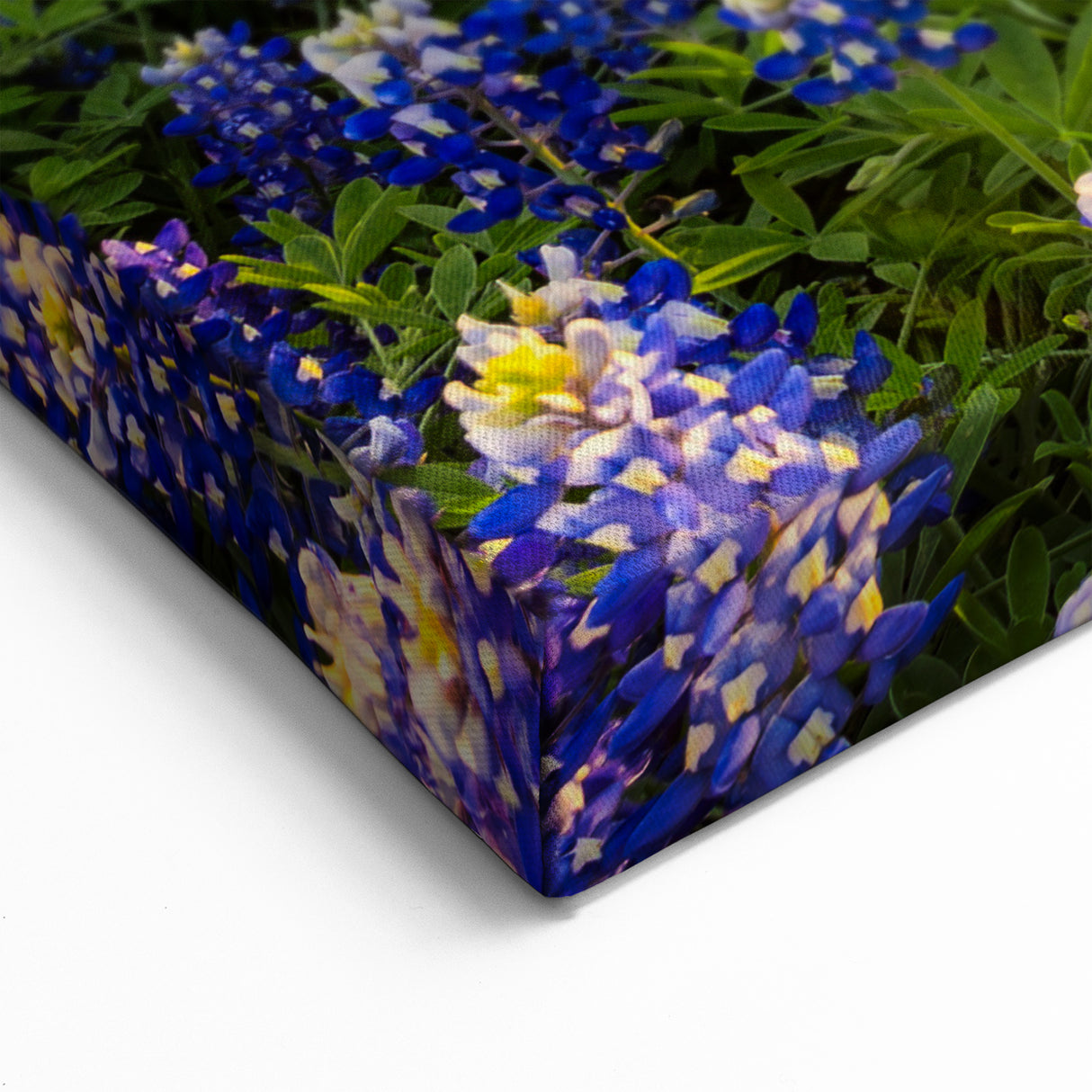 Vibrant Bluebonnet Field at Sunrise - Texas Wildflower Scenic Wall Art