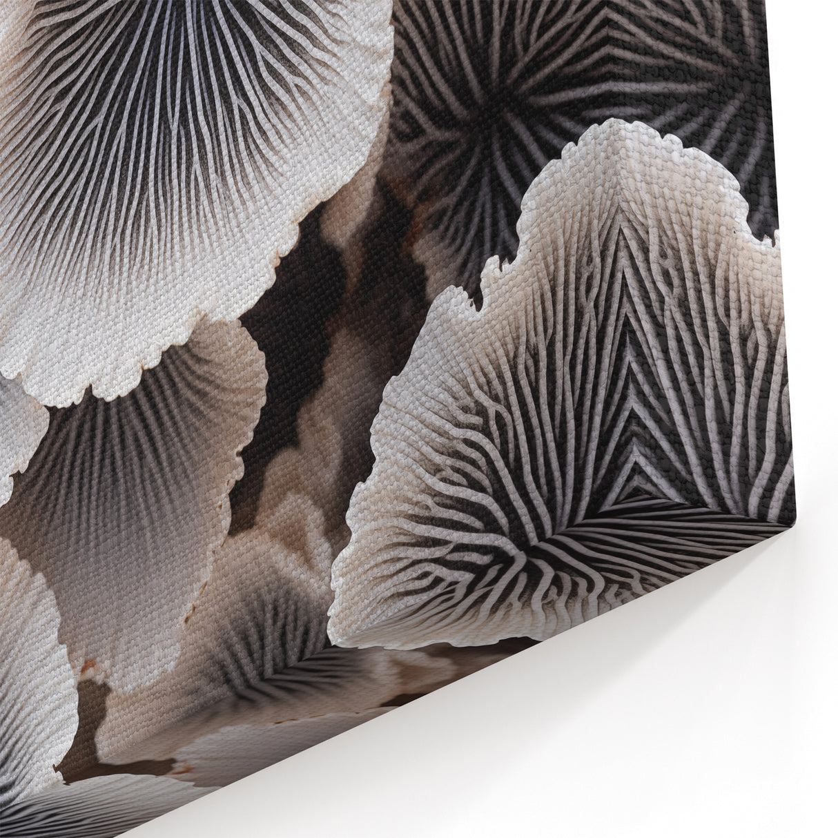 Marine Plants Art: Black & White Minimalist Coral Wall Decor Canvas