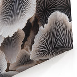 Marine Plants Art: Black & White Minimalist Coral Wall Decor Canvas