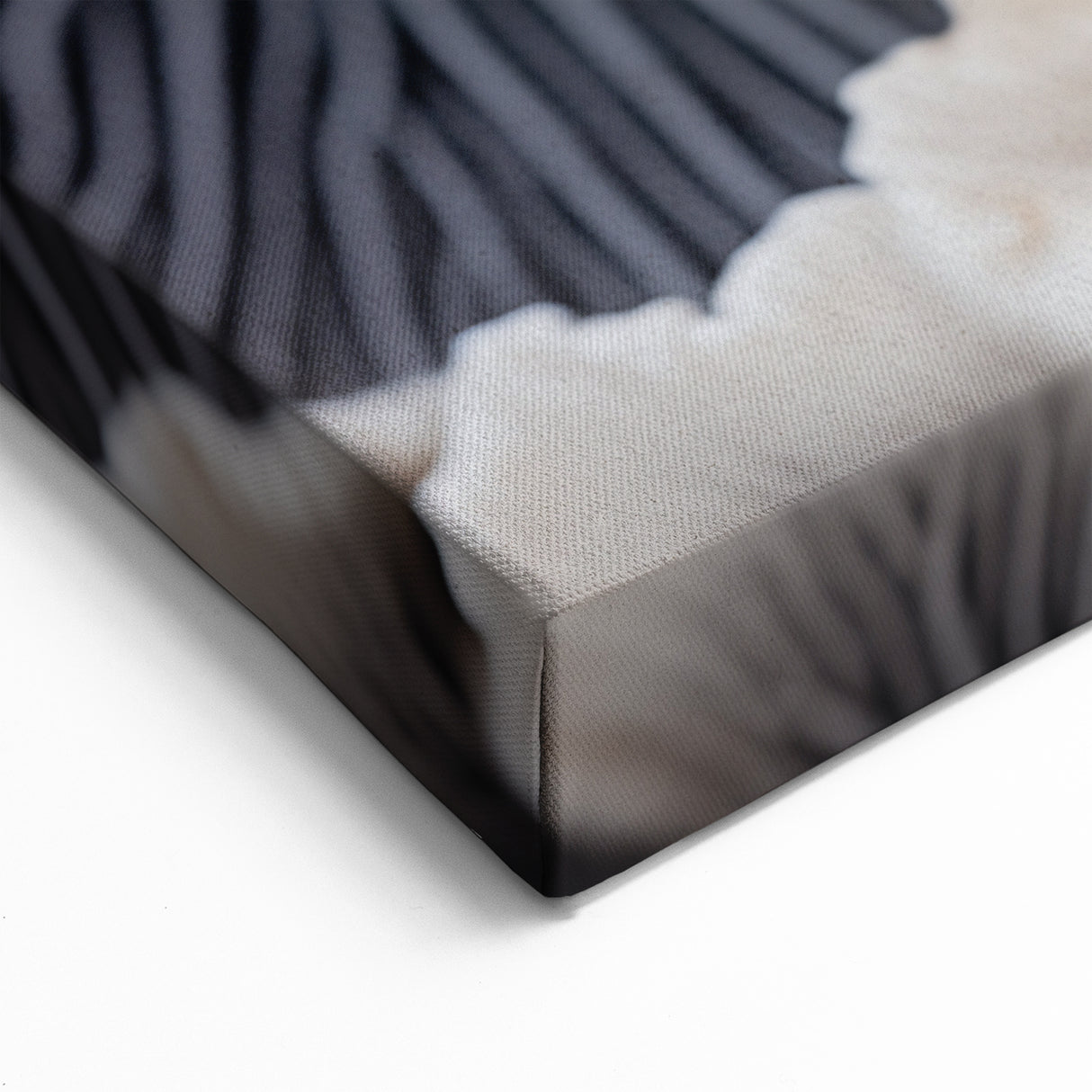 Marine Plants Art: Black & White Minimalist Coral Wall Decor Canvas