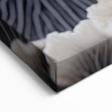 Marine Plants Art: Black & White Minimalist Coral Wall Decor Canvas