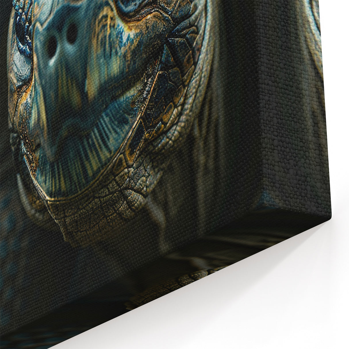 Close-Up Giant Tortoises in Seychelles - Wildlife Photography Canvas Art