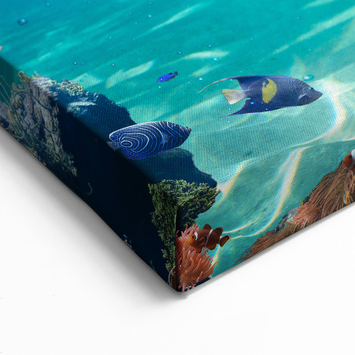 Exotic Island and Coral Reef in Seychelles - Tropical Ocean Art Print