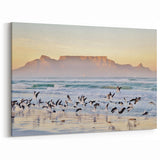 South Africa Wall Art - Cape Town Canvas of Table Mountain and Seagulls